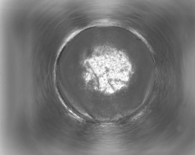 X0000051891477200507222003