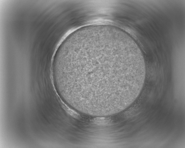 X0000051891478200507222003