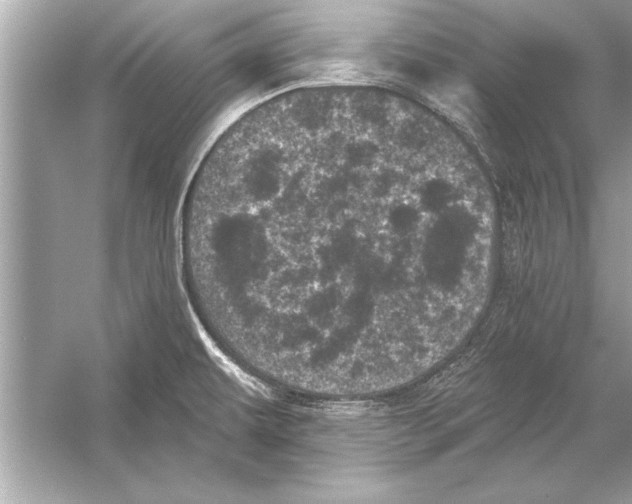 X0000051891479200507222003