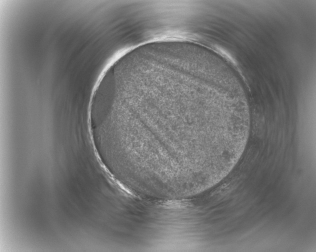 X0000051891480200507222003