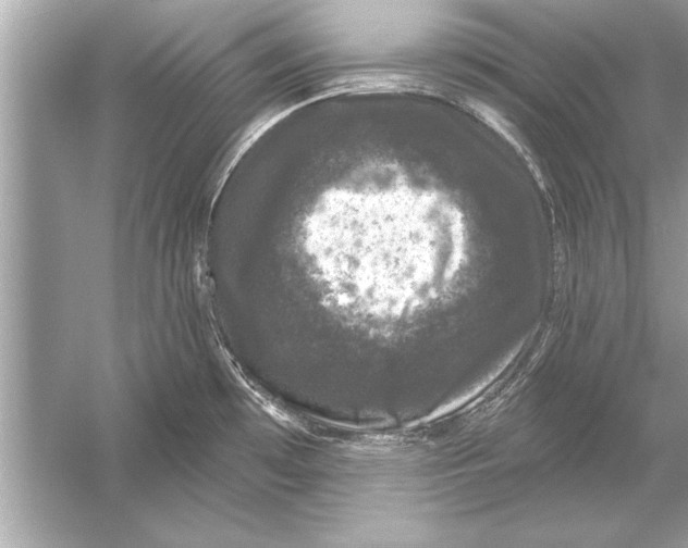 X0000051891481200507222003