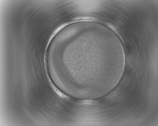 X0000051891482200507222003