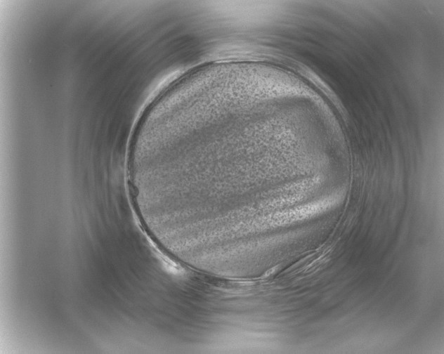 X0000051891485200507222003