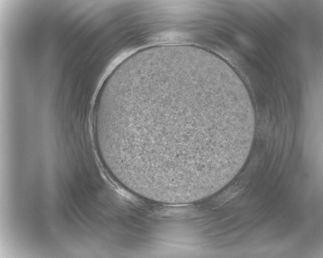 X0000051891486200507222002