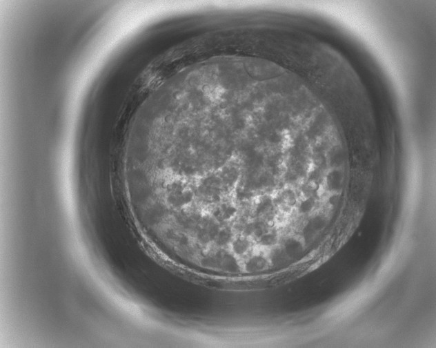 X0000051891487200507222002