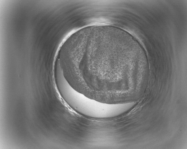 X0000051891488200507222002