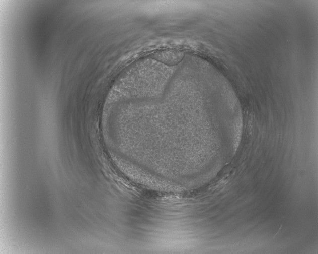 X0000051891489200507222002