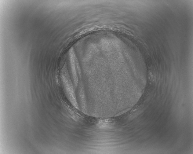 X0000051891490200507222002