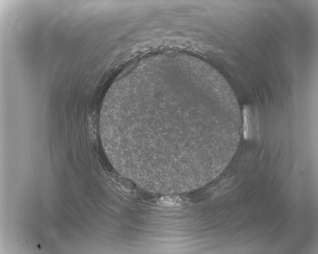 X0000051891491200507222002