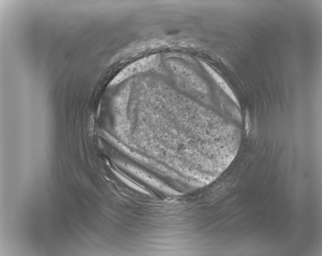 X0000051891492200507222002