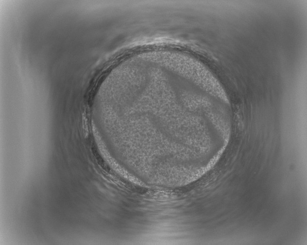 X0000051891493200507222002