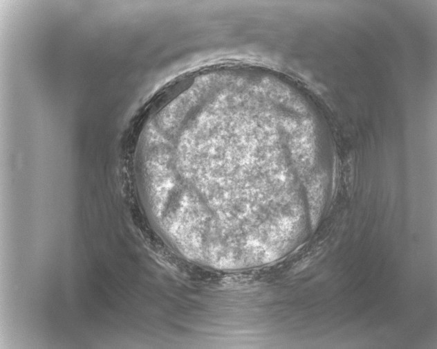 X0000051891496200507222002