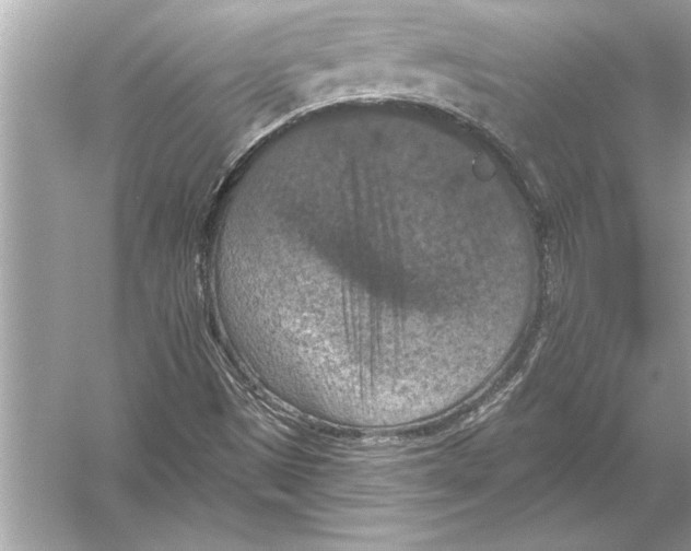 X0000051891497200507222002