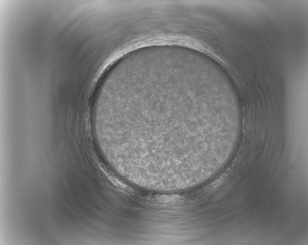 X0000051891498200507222002