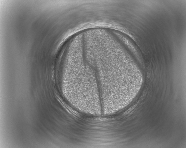 X0000051891499200507222002