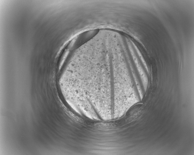 X0000051891500200507222002