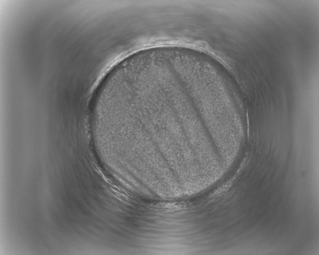 X0000051891501200507222002