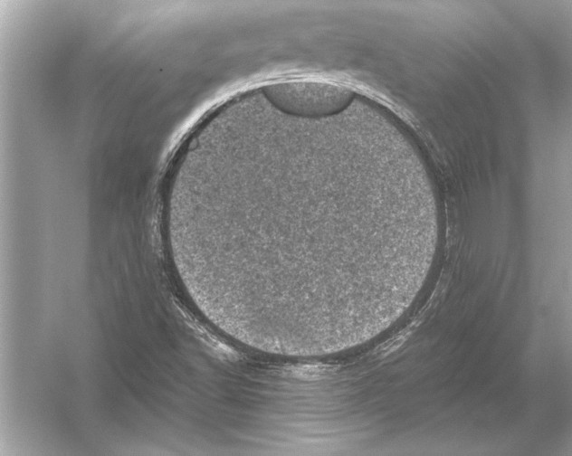 X0000051891502200507222002