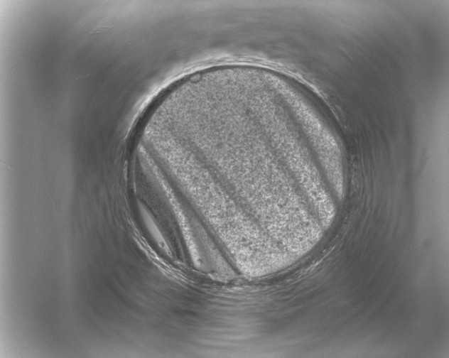 X0000051891503200507222002