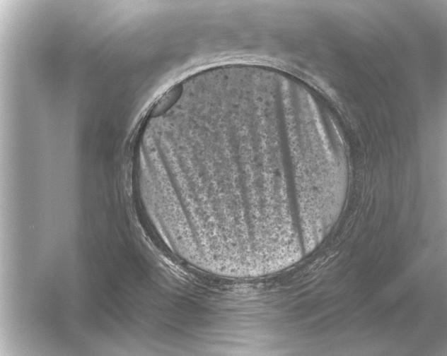 X0000051891504200507222002