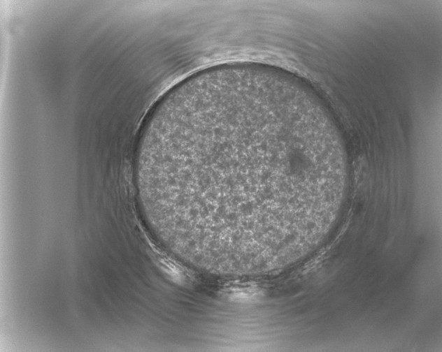 X0000051891505200507222002