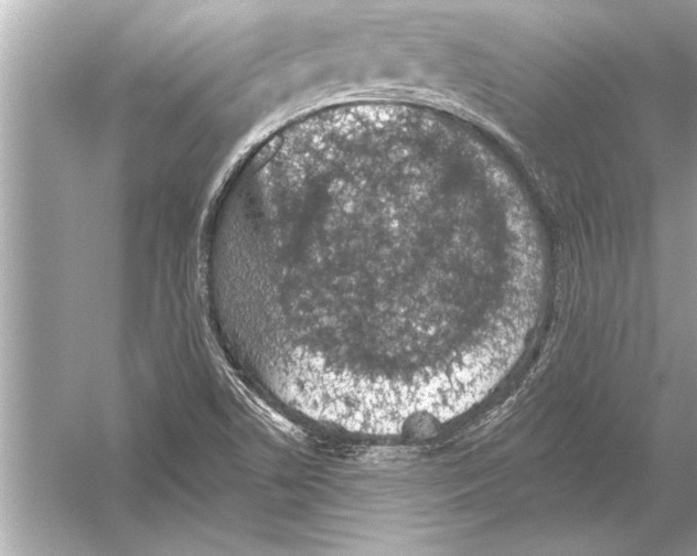 X0000051891506200507222002