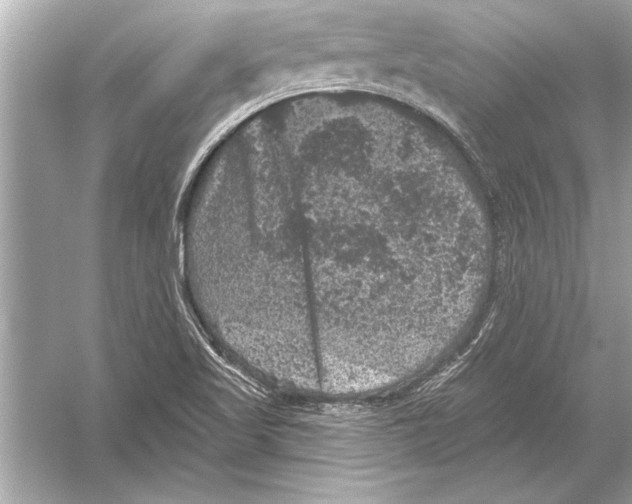 X0000051891509200507222002