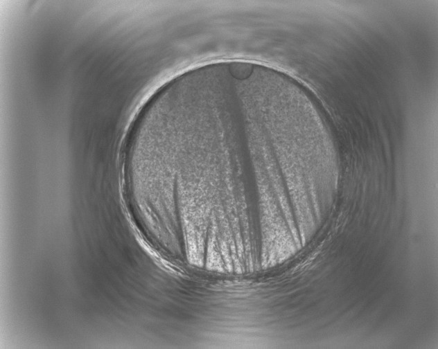 X0000051891511200507222002