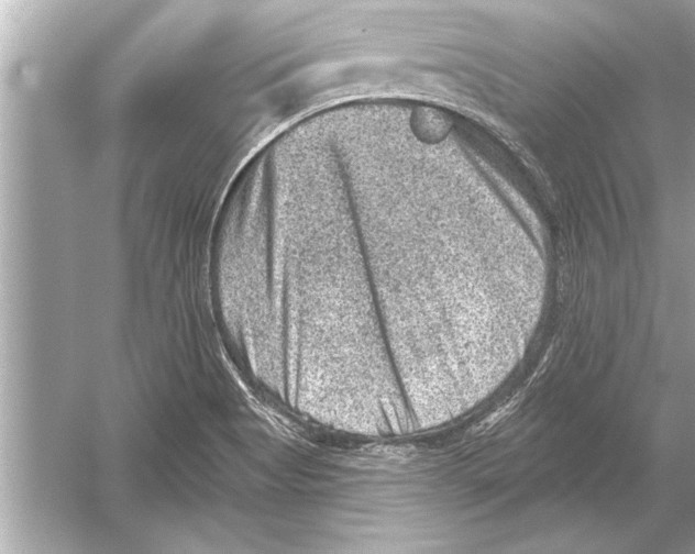 X0000051891513200507222002