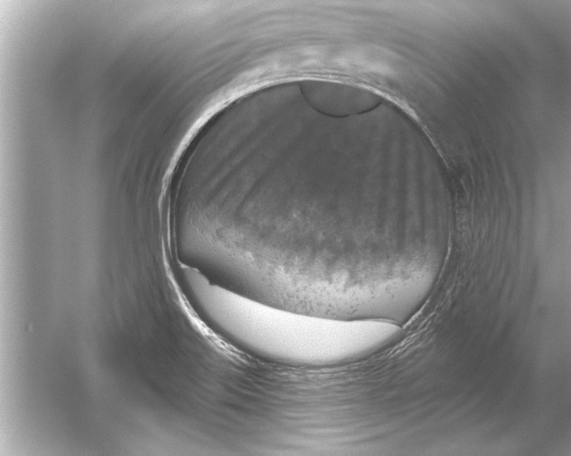 X0000051891515200507222002