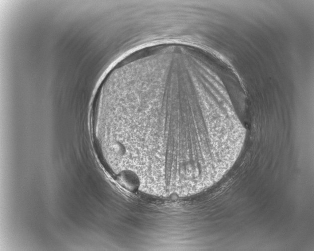 X0000051891516200507222002