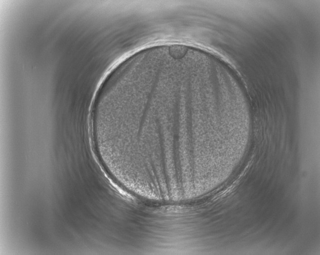 X0000051891517200507222002