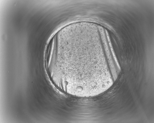 X0000051891520200507222002