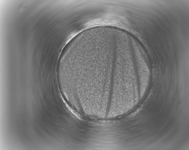 X0000051891521200507222002