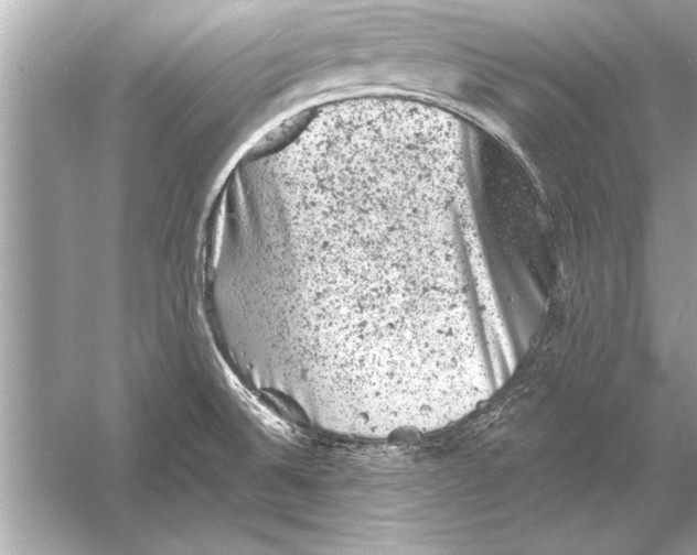 X0000051891524200507222002