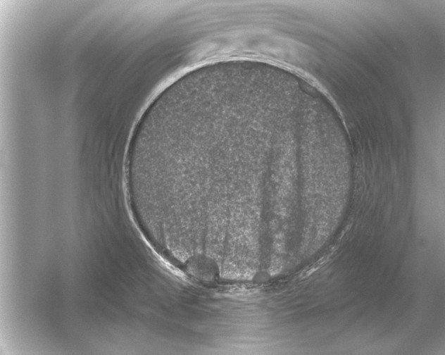 X0000051891525200507222002