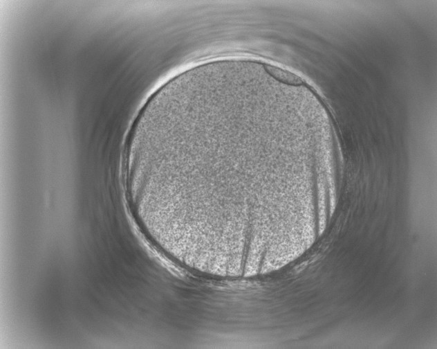 X0000051891526200507222002