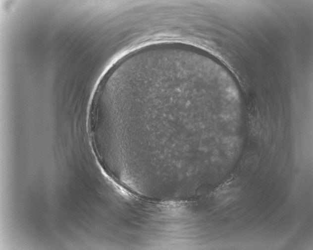 X0000051891527200507222002