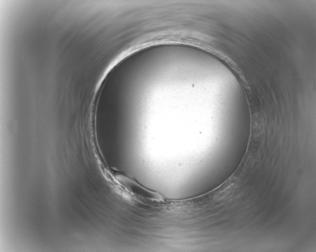 X0000051891530200507222002