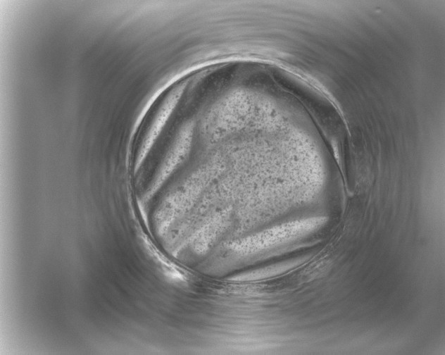 X0000051891532200507222002