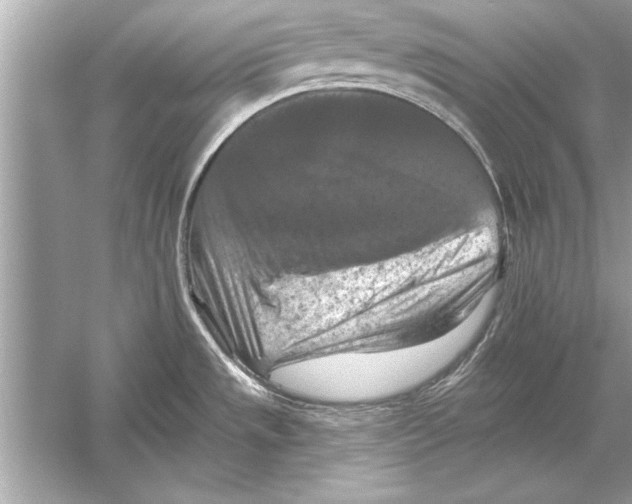 X0000051891533200507222002