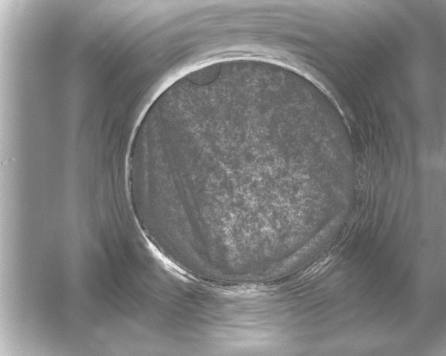 X0000051891535200507222002