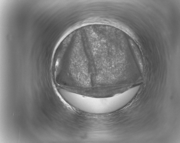 X0000051891536200507222002