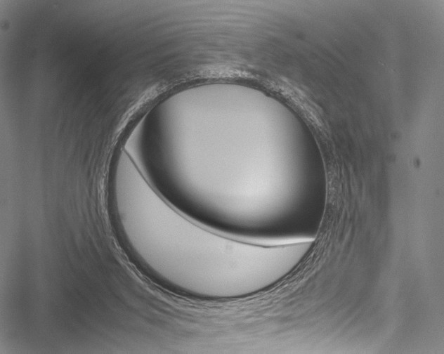 X0000051900015200506241039