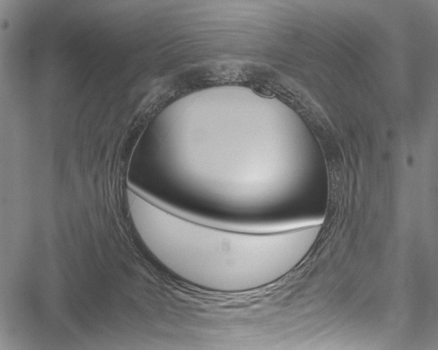 X0000051900035200506241039