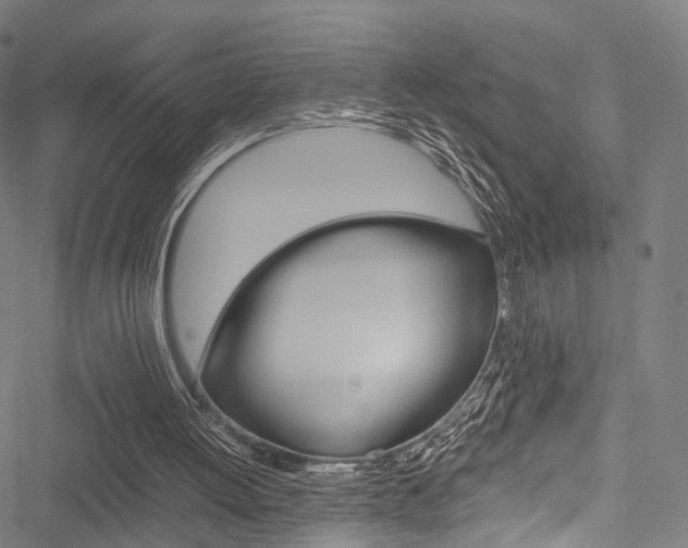 X0000051900052200506241038