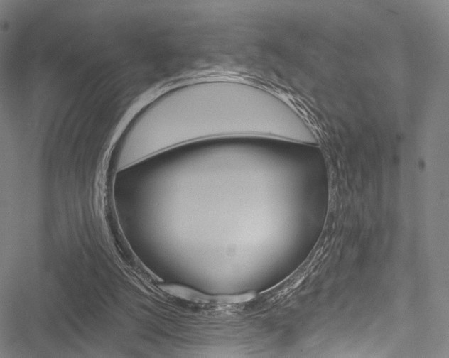 X0000051900056200506241038