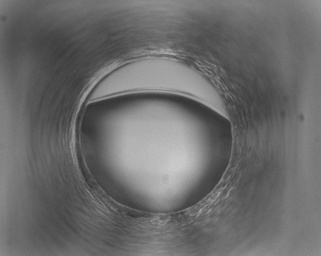 X0000051900148200506241036