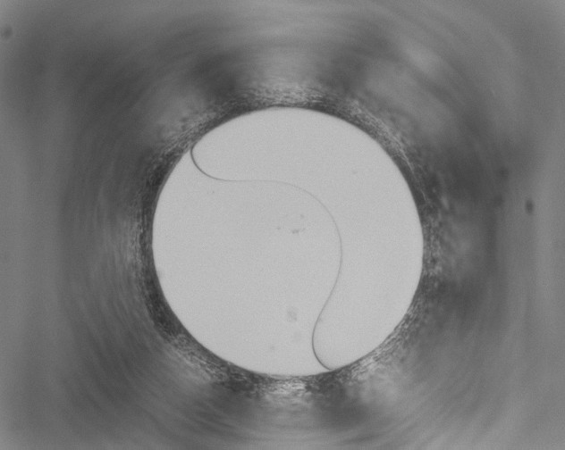 X0000051900162200506241036