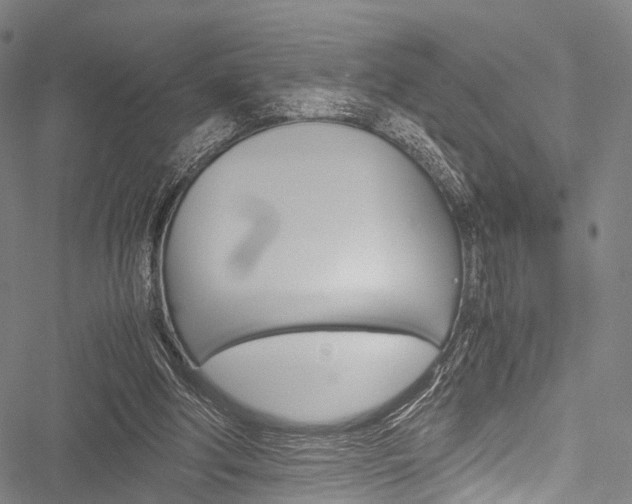 X0000051900202200506241036